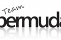 Team Bermudalabs ILC Logo
